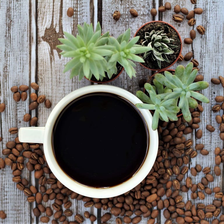 Experience Our Brewed Coffee